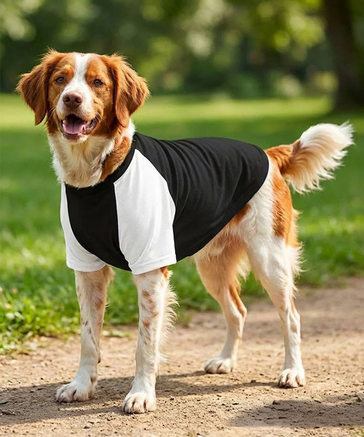Dog´s Raglan T-Shirt
