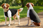 Dog´s Raglan T-Shirt