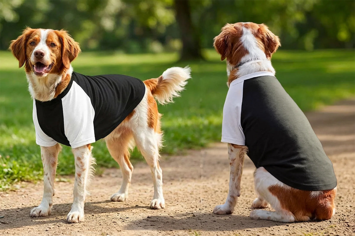 Dog´s Raglan T-Shirt