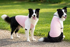 Dog´s Raglan T-Shirt