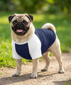 Dog´s Raglan T-Shirt