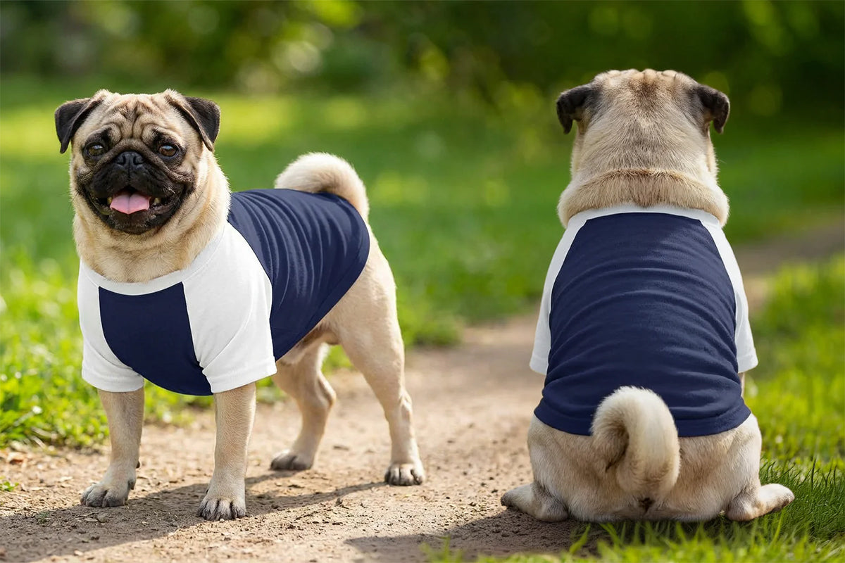 Dog´s Raglan T-Shirt