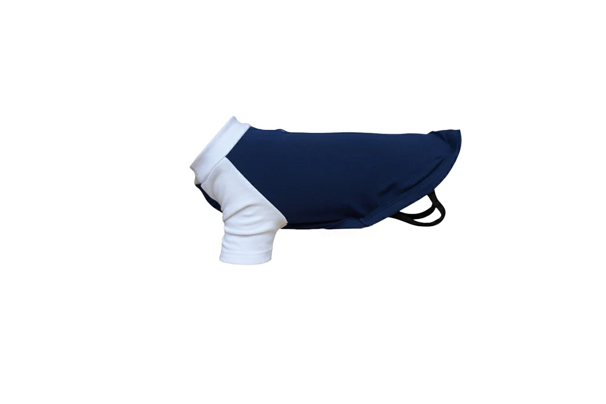 Dog´s Raglan T-Shirt