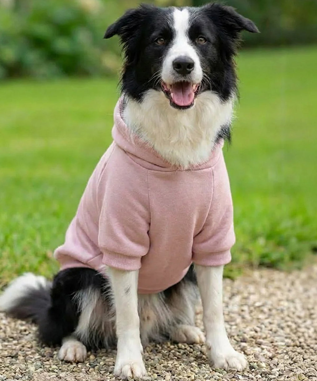 Dog's Hoodie