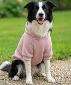 Dog's Hoodie