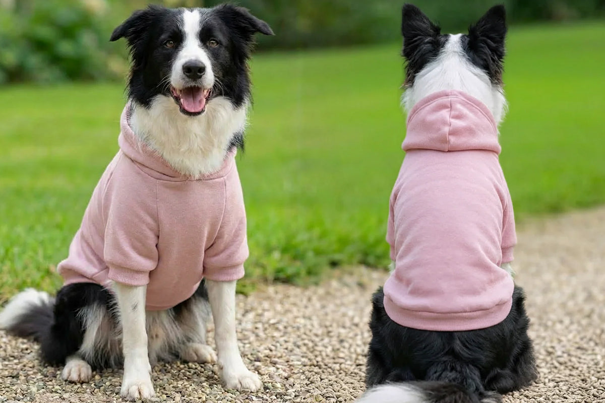 Dog's Hoodie