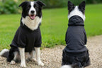 Dog's Hoodie
