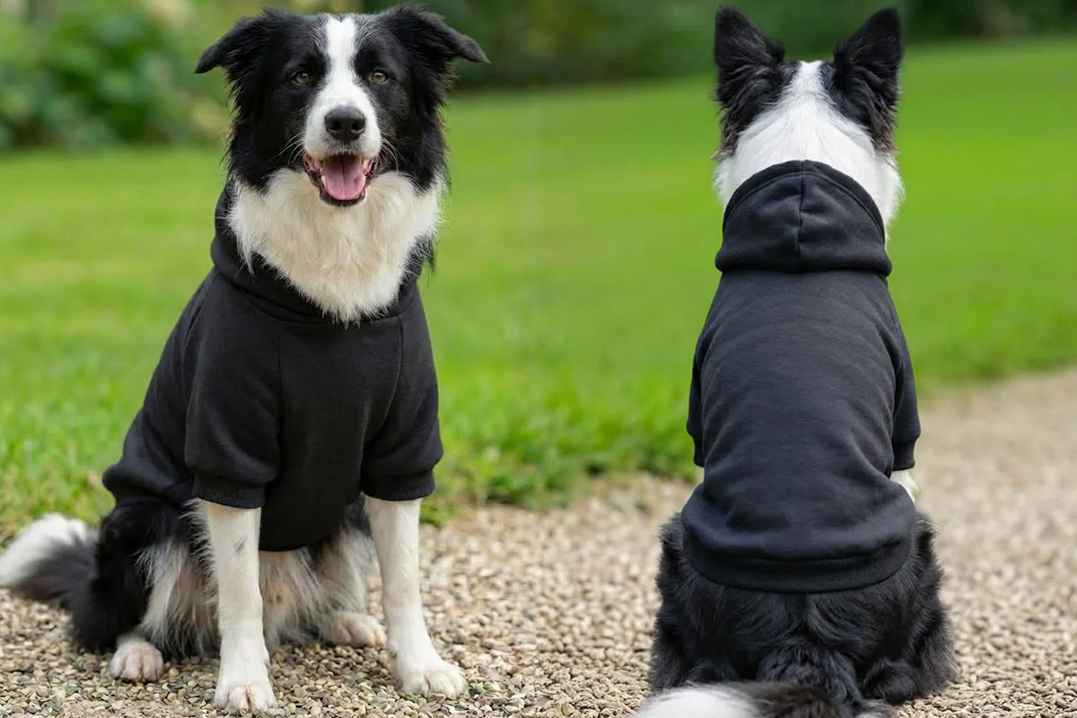 Dog's Hoodie