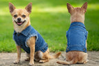 Dog's Denim jacket