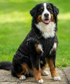 Dog's Denim jacket