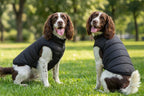 Dog's Puffer jacket