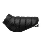 Dog's Puffer jacket
