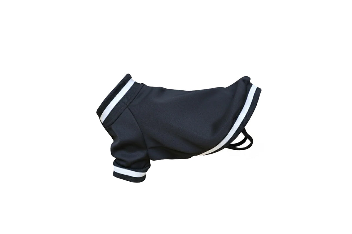 Dog's Varsity jacket