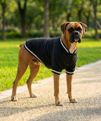 Dog's Varsity jacket
