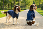 Dog's Varsity jacket