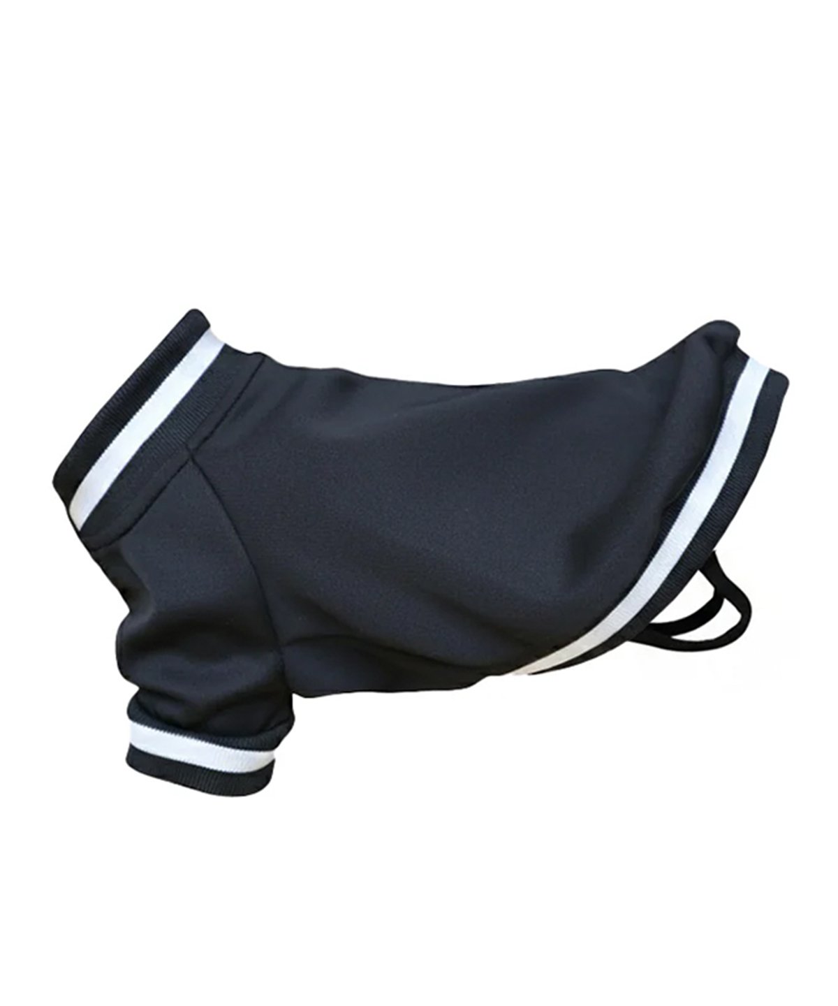 Dog's Varsity jacket