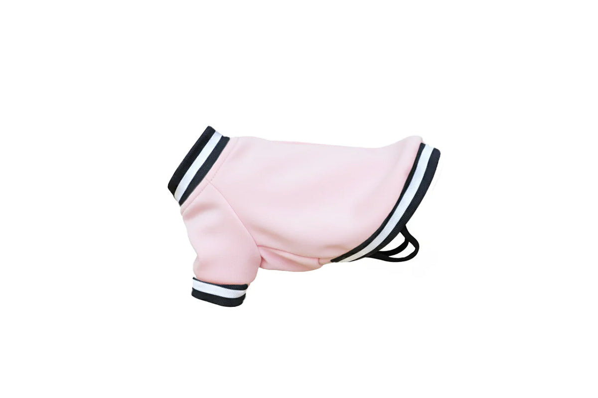 Dog's Varsity jacket