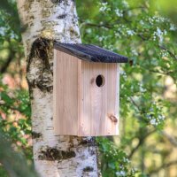 Vogelfutterhäuschen mit Aufschrift